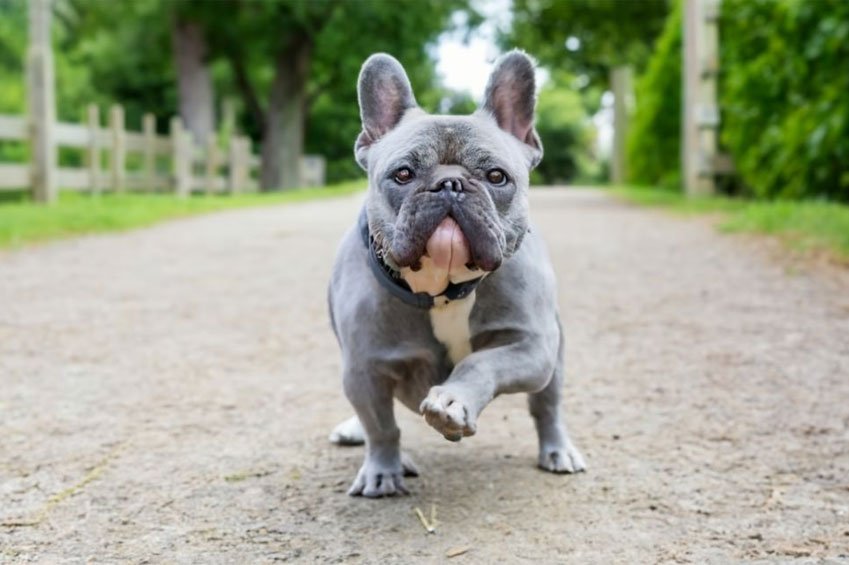 Keeping the Wiggle in Their Walk